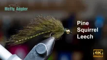 Video thumb for Pine Squirrel Leech