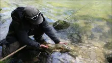 Video thumb for Traditional bait fishing