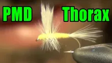 Video thumb for PMD Thorax Dry Fly