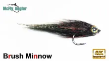 Video thumb for Brush Minnow