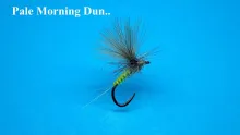 Video thumb for Pale Morning Dun