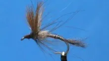 Video thumb for Light Hendrickson Emerger