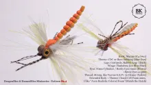 Video thumb for Foam Dragonfly Adult
