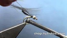 Video thumb for Quill Body Nymph