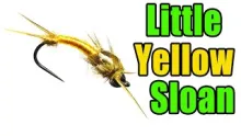 Video thumb for Little Yellow Sloan Stonefly Nymph