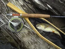 User submitted picture: Still life : lovely wild ...