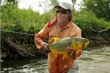 User submitted picture: What can I do? It's an A...