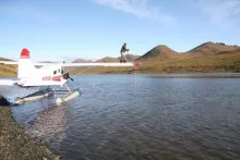 User submitted picture: Fighting a big silver fis...