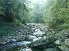 User submitted picture: a little stream named "T...