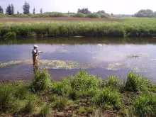 User submitted picture: Ready...Present...Loose.....