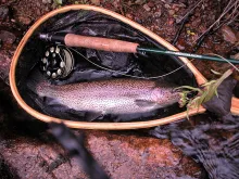 User submitted picture: Good size 'Bow for a lit...