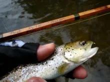 User submitted picture: The "Pere Marquette River...
