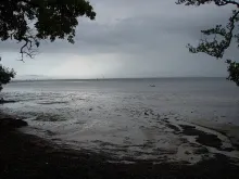 User submitted picture: This is the closest bonef...