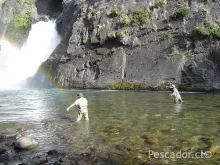 User submitted picture: Fly cast on a hot and wil...