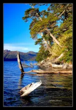 User submitted picture: Lake Tromen, Neuquen, Pat...