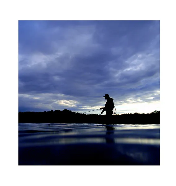 User submitted picture: ...waiting for evening ta...