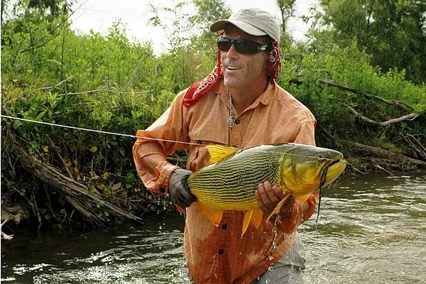 User submitted picture: What can I do? It's an A...