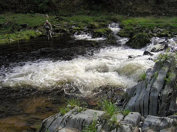 User submitted picture: my friend Petr Head and v...