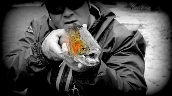 User submitted picture: South Fork of the Boise R...