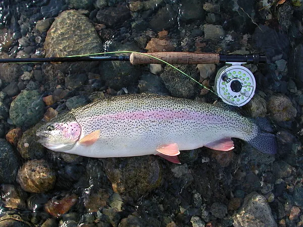 User submitted picture: Fall Rainbow