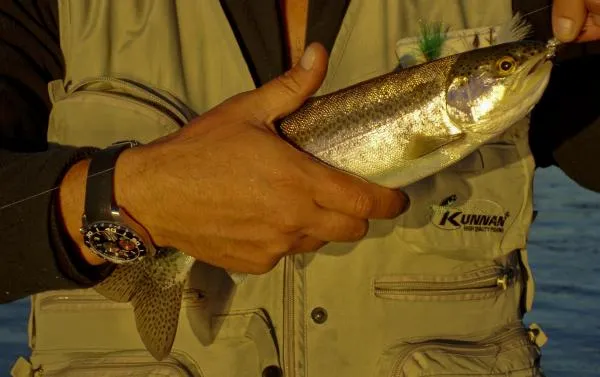 User submitted picture: Collon Cura River, Patago...