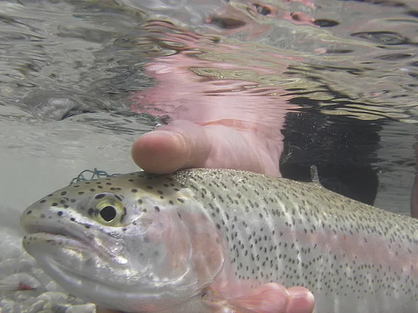 User submitted picture: Underwater Rainbow
